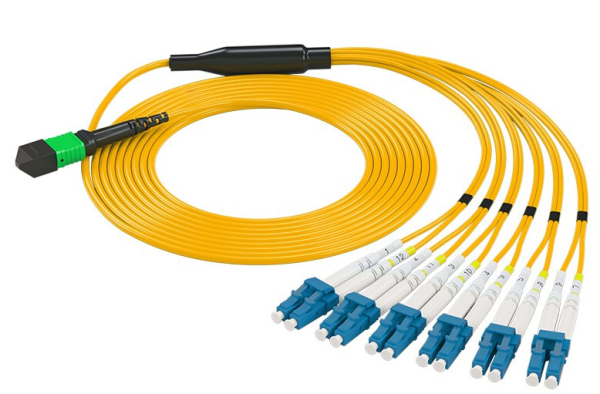 OM3 12 Cores Single Mode Fiber Patch Cord