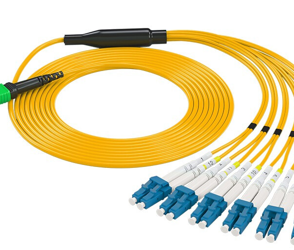 OM3 12 Cores Single Mode Fiber Patch Cord