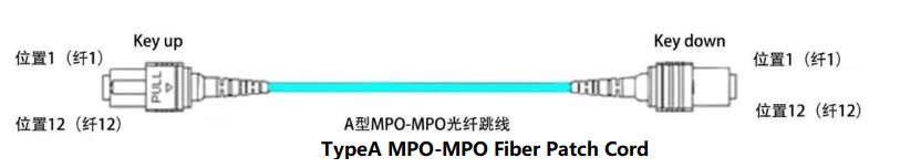 typeA MPO fiber pacth cord