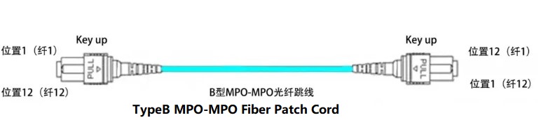 typeB MPO fiber pacth cord