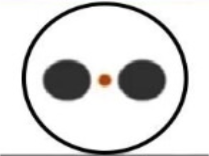 Panda Type Polarization Maintaining Fiber