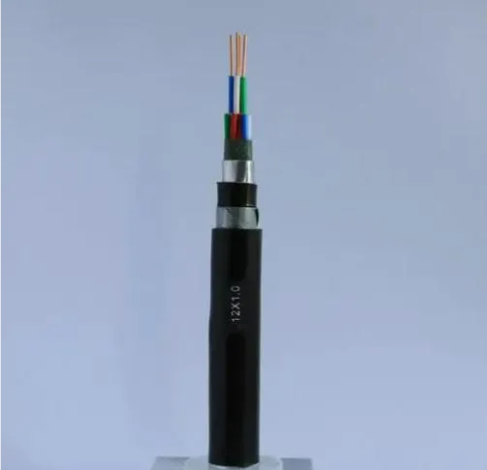 Two core armored optical